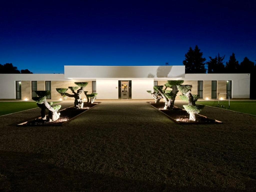 Vista Lago Ville チクラナ・デ・ラ・フロンテーラ エクステリア 写真
